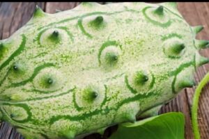 A Green Horned Melon/Kiwano