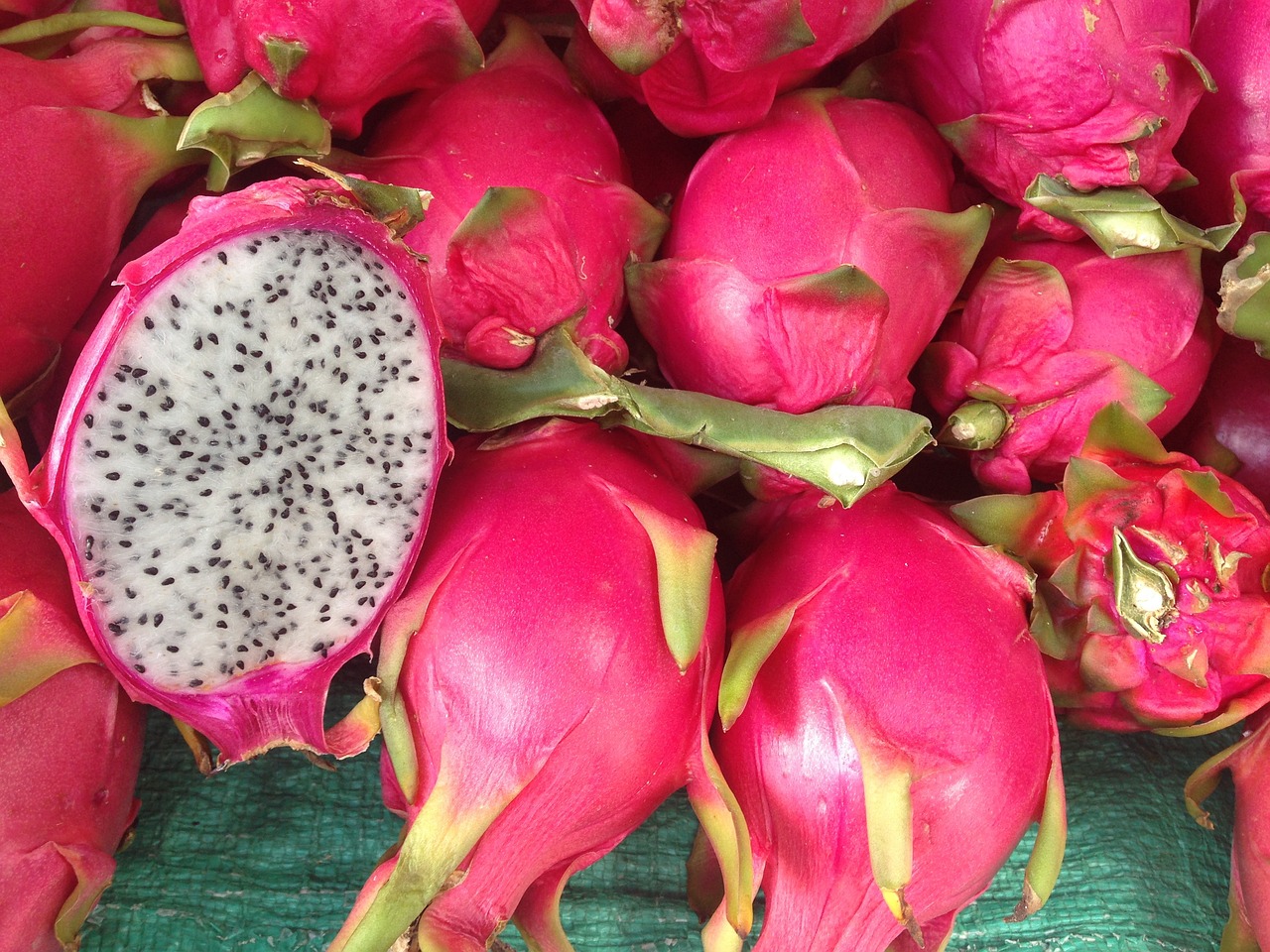 Dragon Fruit 101: All Your Dragon Fruit Questions Answered