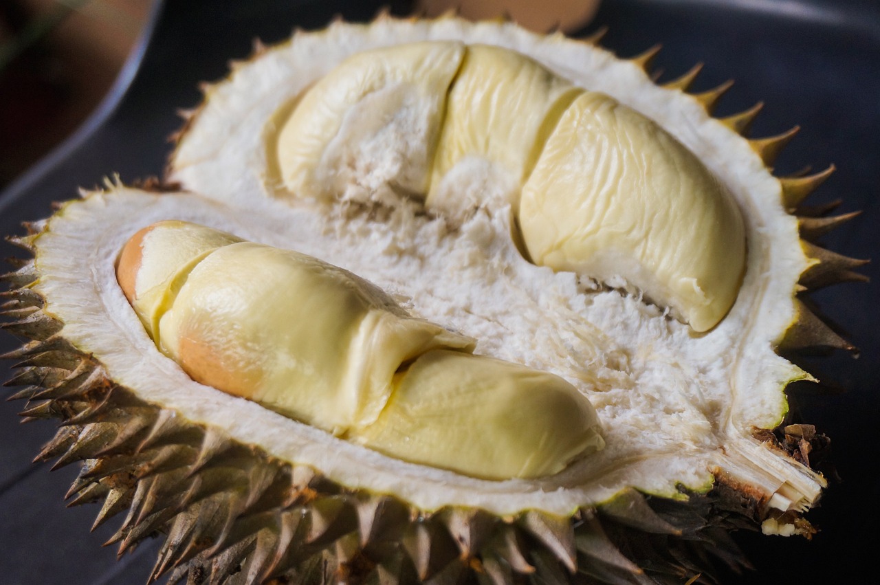 Durian Fruit