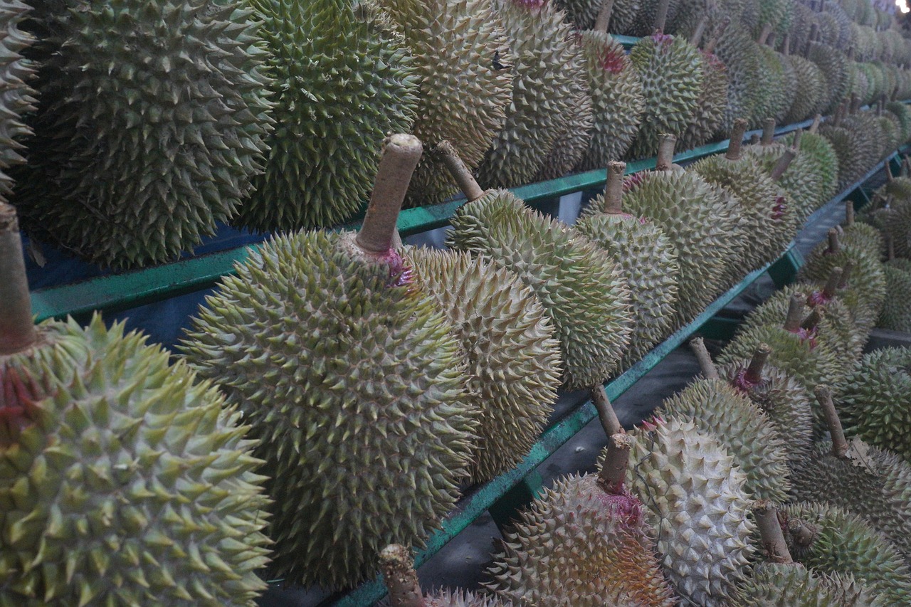 6 Durian Fruit Benefits Sexually For Men and Females