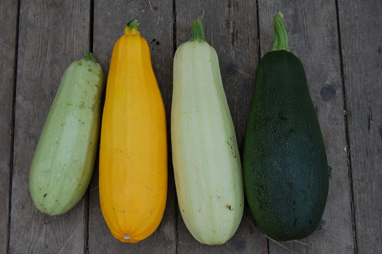 Zucchini 101- Everything To Know About Zucchini (Courgette)