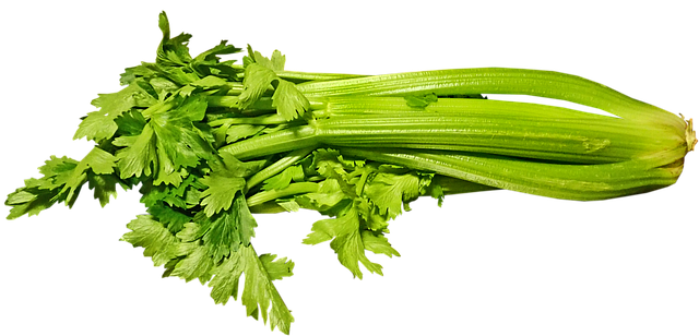 Celery-vegetable