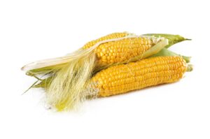 Corn/Sweetcorn