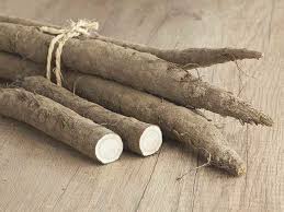 Burdock Root